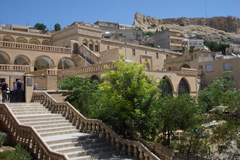 Mardin